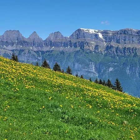 An Der Prodalp Talstation * Flumserberg