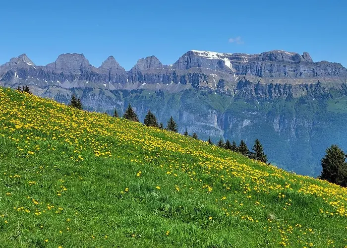 An Der Prodalp Talstation * Flumserberg